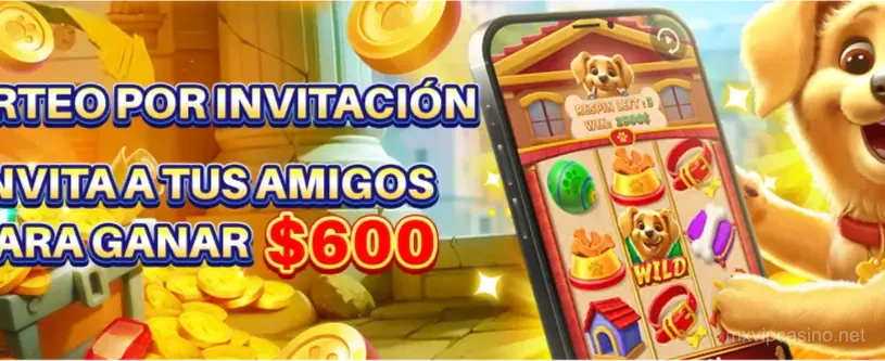 Juego VIP exclusivo 5